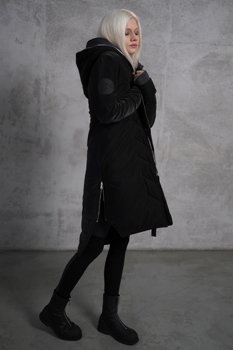  SpaceX Black Asteroid