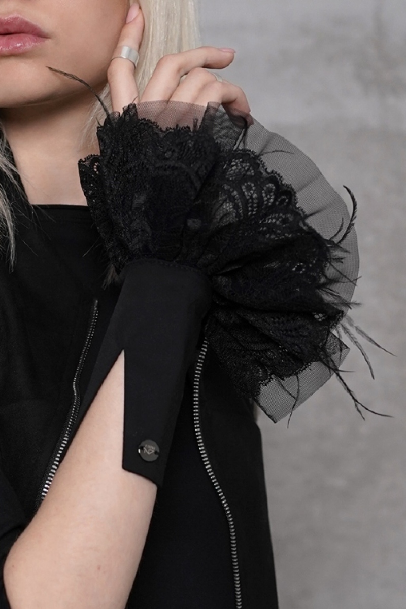 ������� Rebel Black Swan