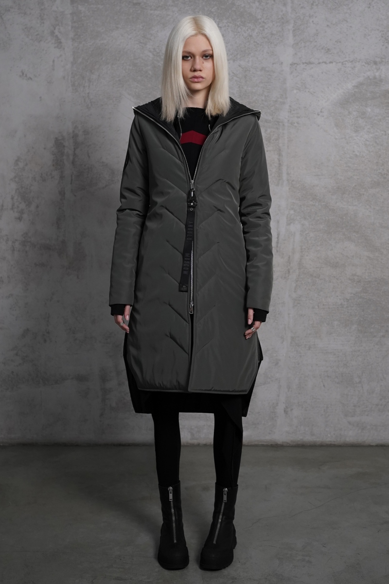 ������� SpaceX Aircraft