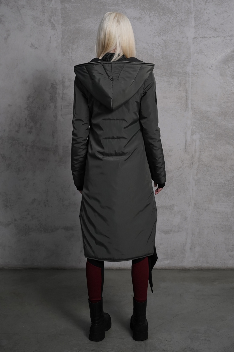 ������� SpaceX Aircraft