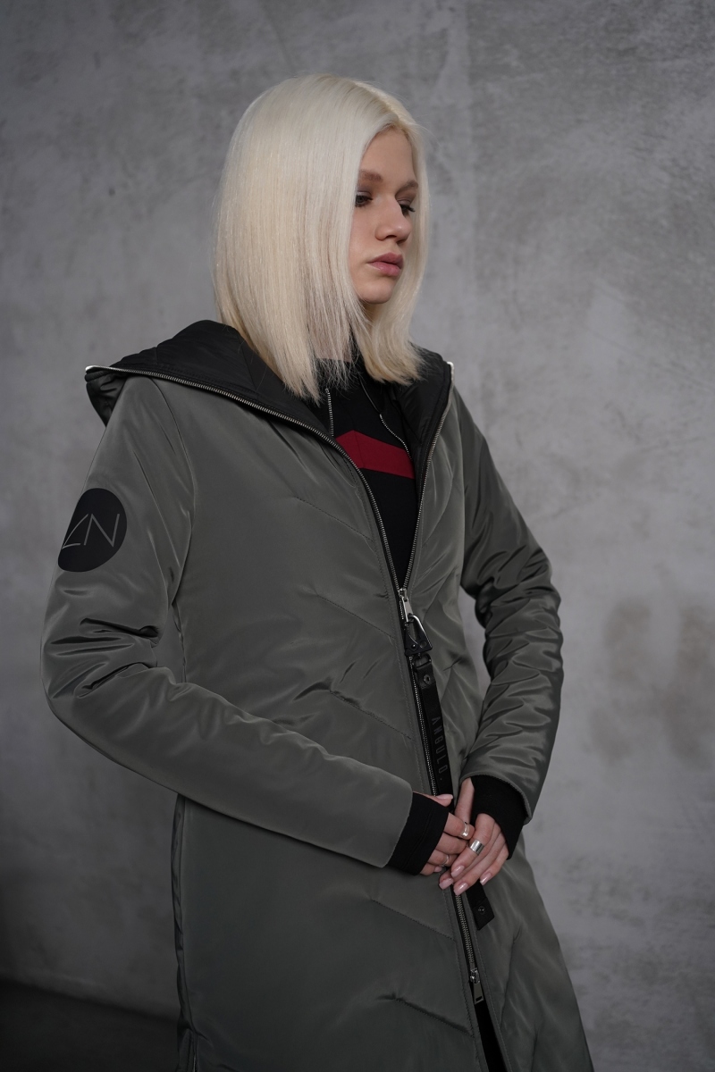 ������� SpaceX Aircraft