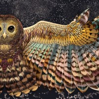 Крылатый палантин из кашемира с шёлком Ночная Сова