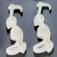  Skeleton