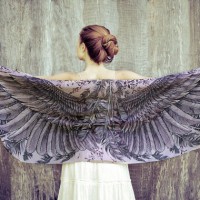   Violet Wings