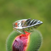 Серебряное кольцо «Кита»