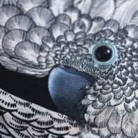 Шаль белый Какаду (White Cockatoo)