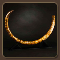 �������� ����� � ����������� �������� ��� ������� ��������� �������, ������ �� ������ ������. ������ �������������� ������ � ����������. ����������� ��������� � ���������� ������������� ����� ���������, ���, ��� �� ������������ ��� ������������ ���� ������ ����� � ���������.<br><br>������, � �������� ��������� ������������ ���������, ������� �� �������� ����� ������� ������������� �� �� ��������...