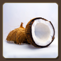 Кокос (Coconut)